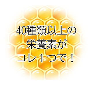 ローヤルゼリーの成分