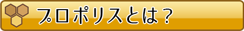 プロポリスとは？