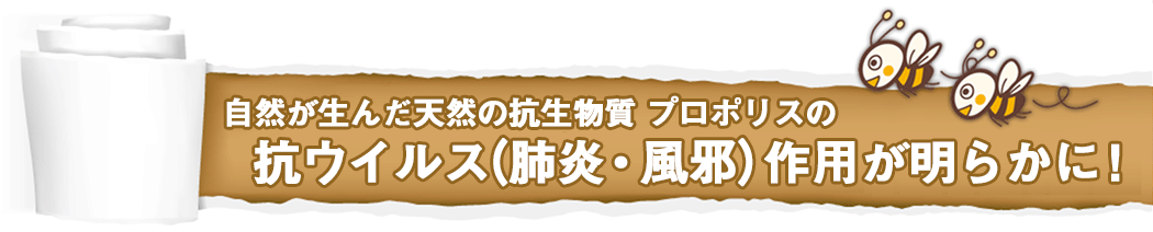 自然が生んだ天然の抗生物質 プロポリスの抗ウイルス（肺炎・風邪）作用が明らかに！